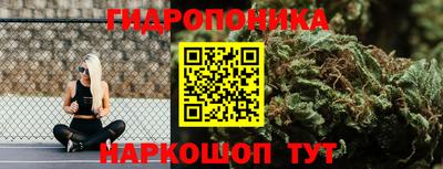 индика Бузулук