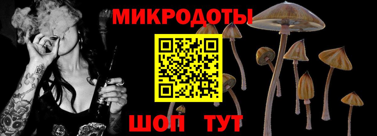 Псилоцибиновые грибы GOLDEN TEACHER Рузаевка